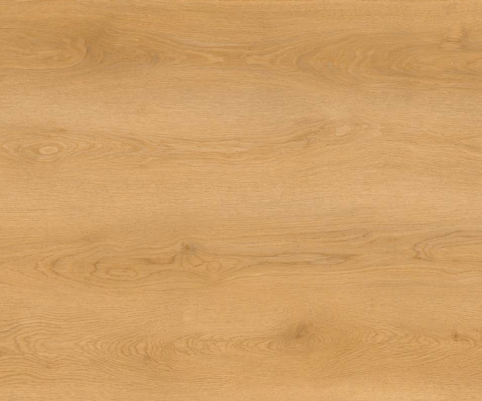 Tekstur lantai SPC Eco 5mm EV5009SPC Sunrise Beech